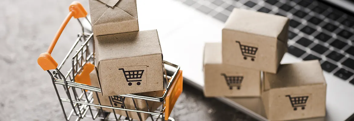 desarrollo-ecommerce-1170